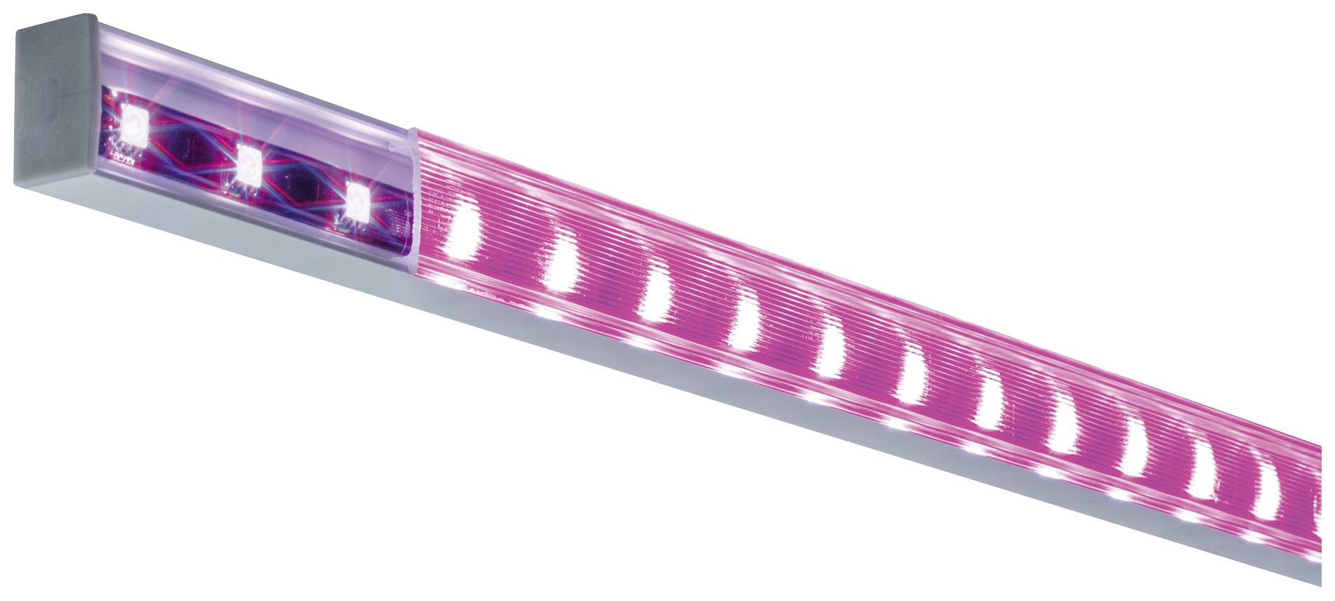 Een LED-lamp die roze licht uitstraalt, gemonteerd in een langwerpige behuizing voor plafond- of wandmontage.