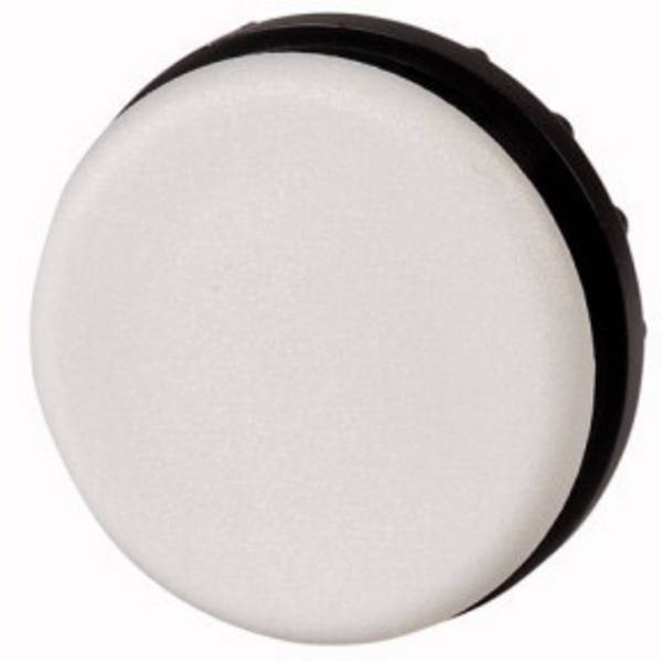 Eaton M22-B 216388 Blindsluiting Rond (Ø) 29.5 mm  Grijs 1 stuk(s) Piece