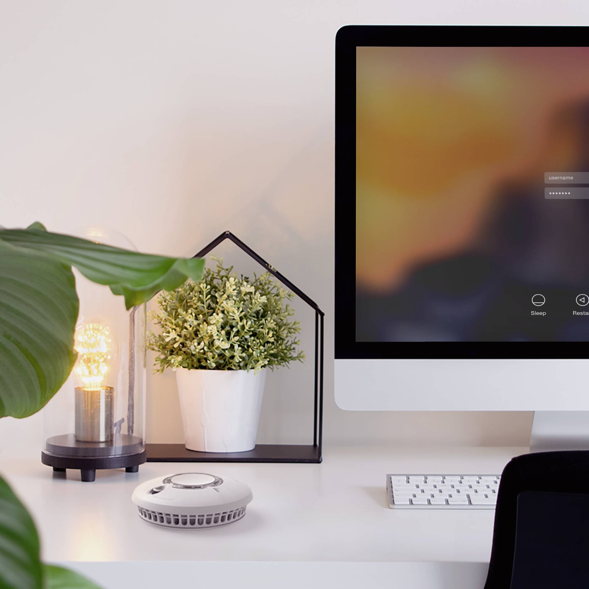 Een computermonitor toont een wazig aanmeldscherm. Op de tafel staan een lamp, planten en een toetsenbord.