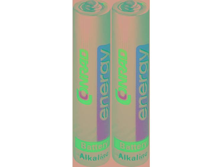 Conrad energy LR8 AAAA batterij (mini) AAAA (mini) Alkaline 1.5 V 500 mAh 2 stuks
