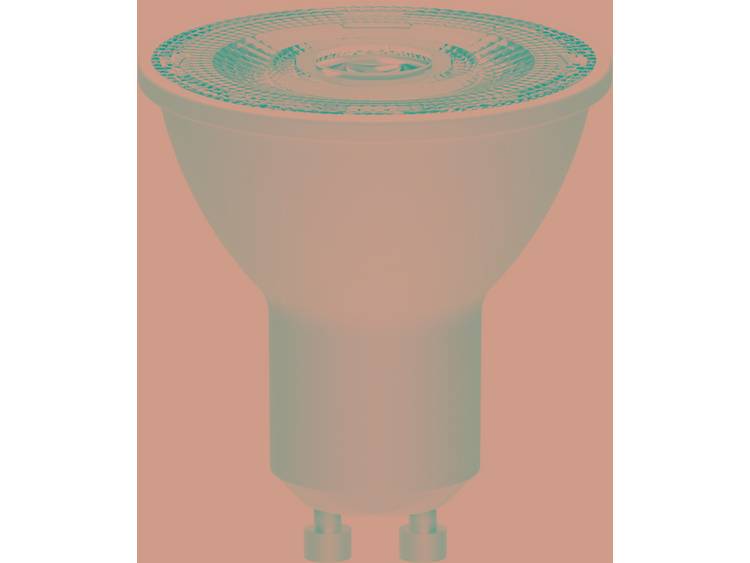 LED-lamp GU10 Reflector 3 W = 35 W Warmwit 1 stuks Basetech BT-1697474