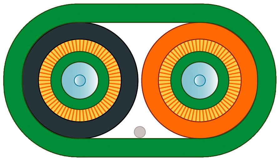 Abstract ontwerp met twee grote, concentrische cirkels in zwart en oranje, omrand door een groene ovaal, doet denken aan ogen.