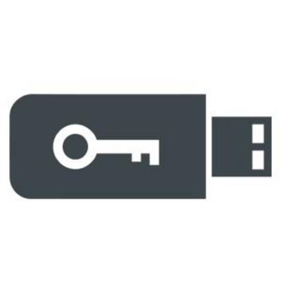 Symbool van een USB-stick met een sleutelpictogram erop, dat gegevensbeveiliging of versleutelde opslag voorstelt.