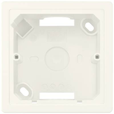 Lege, rechthoekige kunststof framehouder, vermoedelijk voor een stopcontact of schakelaar, met zijdelingse schroefopening.