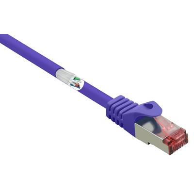 Een blauw Ethernet-kabel met een transparante, rood omrande connector en blootliggende, kleurgecodeerdeaders wordt getoond.