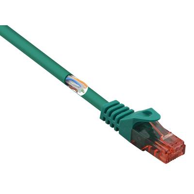 Een groen Ethernet-kabel met een rode connector, geschikt voor netwerkverbindingen en gegevensoverdracht.