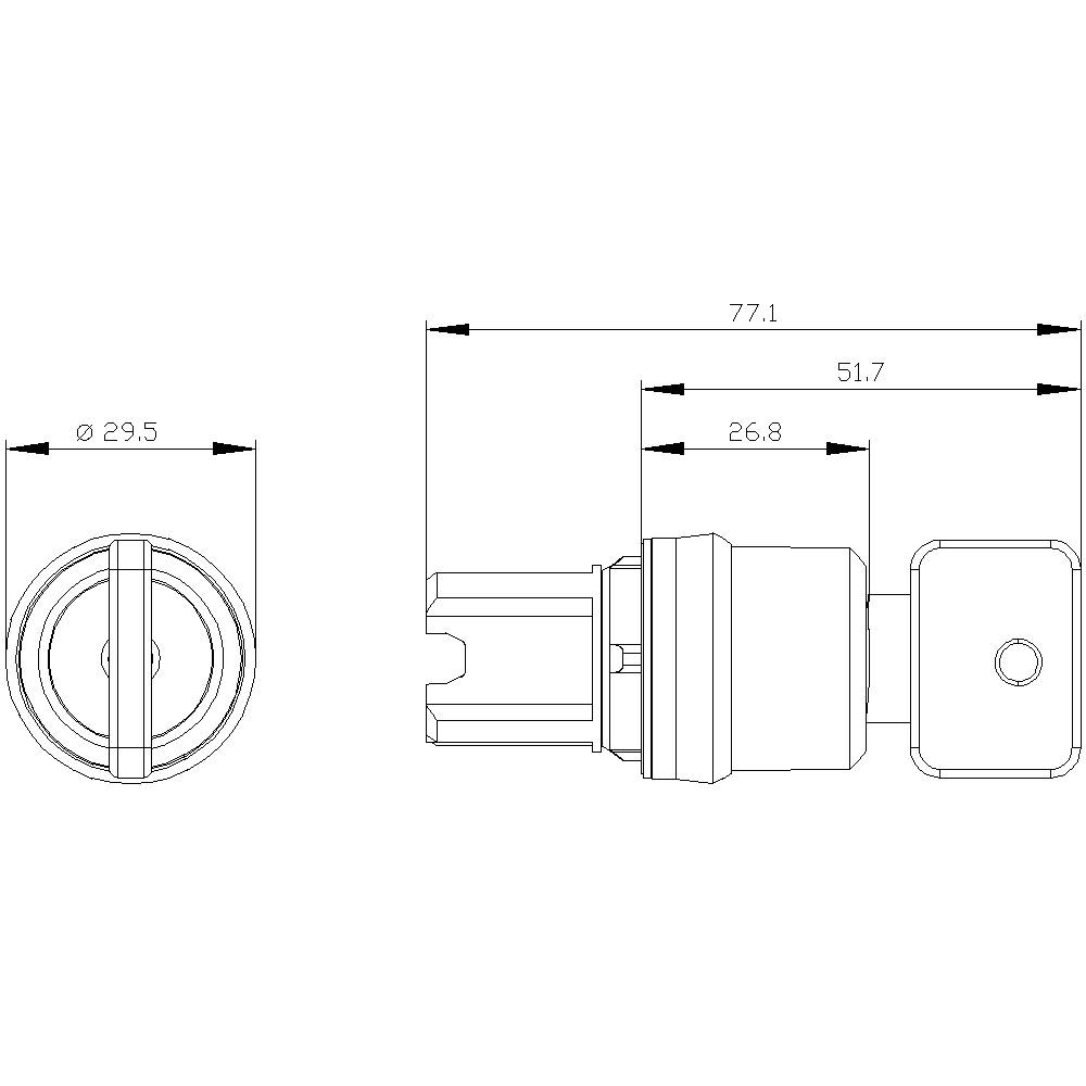 Technische tekening van een cilindrisch object met een diameter van 29,5 mm en een totale lengte van 77,1 mm, toont gedetailleerde maatvoering.