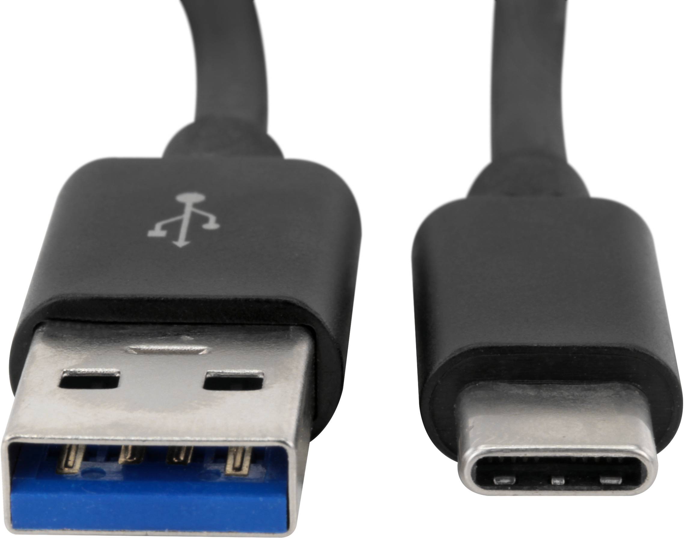 Twee USB-stekkers: links een USB-A-stekker met blauwe rand, rechts een USB-C-stekker. Beide zwart met korte kabels.