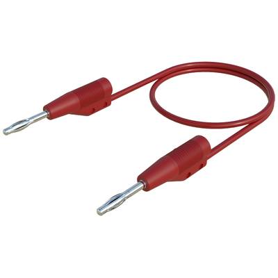 Rood bananensnoer met twee aansluitstekkers aan de uiteinden, voor het verbinden van elektronische apparaten, op witte achtergrond.