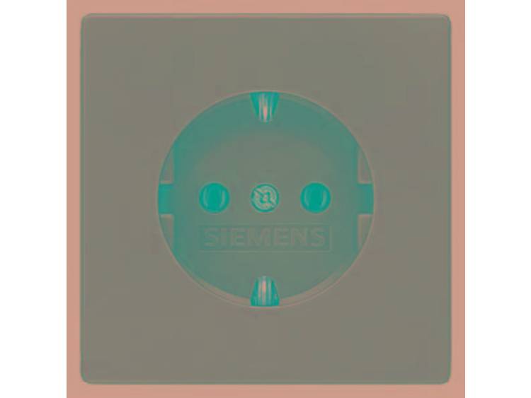 Wandcontactdoos met randaarde Siemens Delta Groen 5UB1835