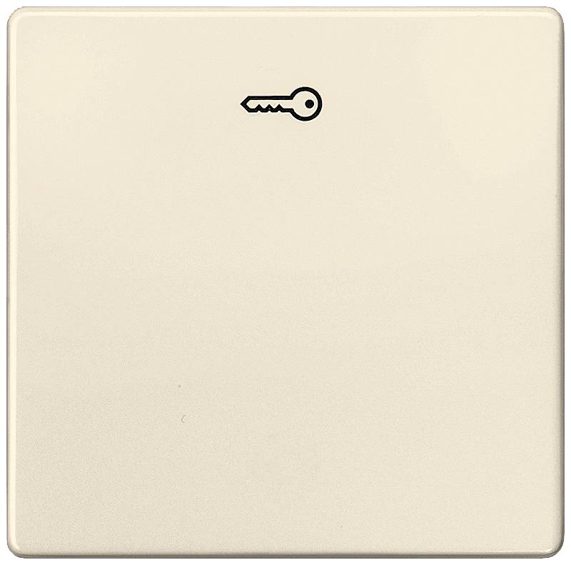Een beige lichtschakelaar met een klein, zwart sleutelsymbool bovenaan. De schakelaar oogt eenvoudig en functioneel.