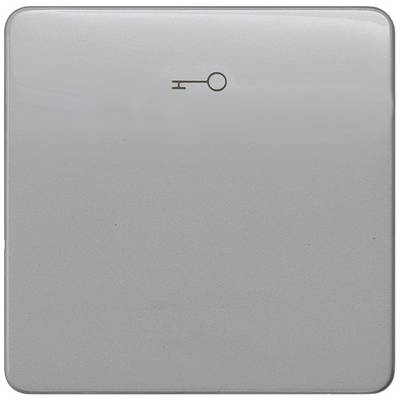 Een vierkante, grijze lichtschakelaar met een klein sleutelsymbool bovenaan, dat mogelijk wijst op een speciale functie.