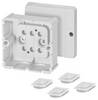 Hensel DP 9020 Aftakkast (l x b x h) 49 x 88 x 88 mm Grijs-wit (RAL 7035) 1 stuk(s)