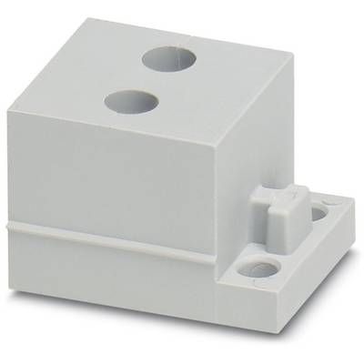 Grijs, rechthoekig, elektrisch behuizingsonderdeel met twee zichtbare gaten en een clipvergrendeling aan de zijkant voor montage.