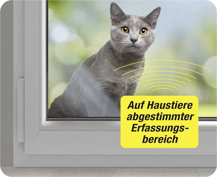 Een grijze kat zit buiten op een vensterbank. Gele tekst: 'Detectiebereik afgestemd op huisdieren'.