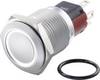 TRU COMPONENTS TC-7495012 TC-GQ16-KH-11E/J/W/12V/C Vandalismebestendige drukschakelaar 48 V/DC 2 A 1x uit/(aan) Moment Wit IP65 1 stuk(s)