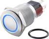 TRU COMPONENTS TC-7495024 TC-GQ16-KH-11ZE/J/B/12V/C Vandalismebestendige drukschakelaar 48 V/DC 2 A 1x uit/aan Continu Blauw IP65 1 stuk(s)