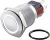 TRU COMPONENTS TC-7495028 TC-GQ16-KH-11ZE/J/W/12V/C Vandalismebestendige drukschakelaar 48 V/DC 2 A 1x uit/aan Continu Wit IP65 1 stuk(s)