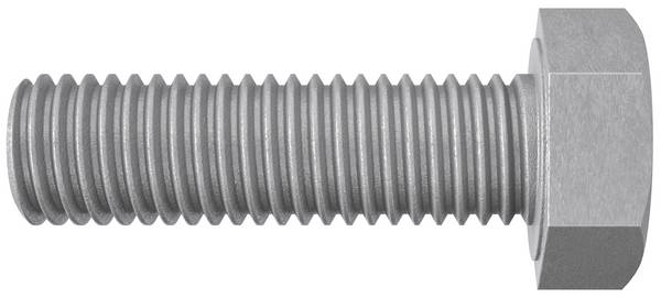 Fischer 537680  Zeskantbout 12 mm 25 mm     Staal Thermisch verzinkt 100 stuk(s)