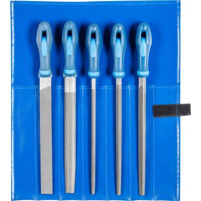 Een set van vijf vijlen met blauwe handvatten in een blauwe etui. De vijlen hebben verschillende vormen en afmetingen.