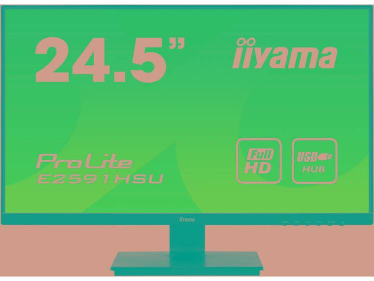 Iiyama ProLite E2591HSU-B1