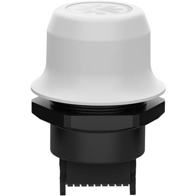 Een grote, ronde, witte knop met een zwarte basis, waarschijnlijk een elektrische schakelaar of drukknop, gezien van bovenaf.
