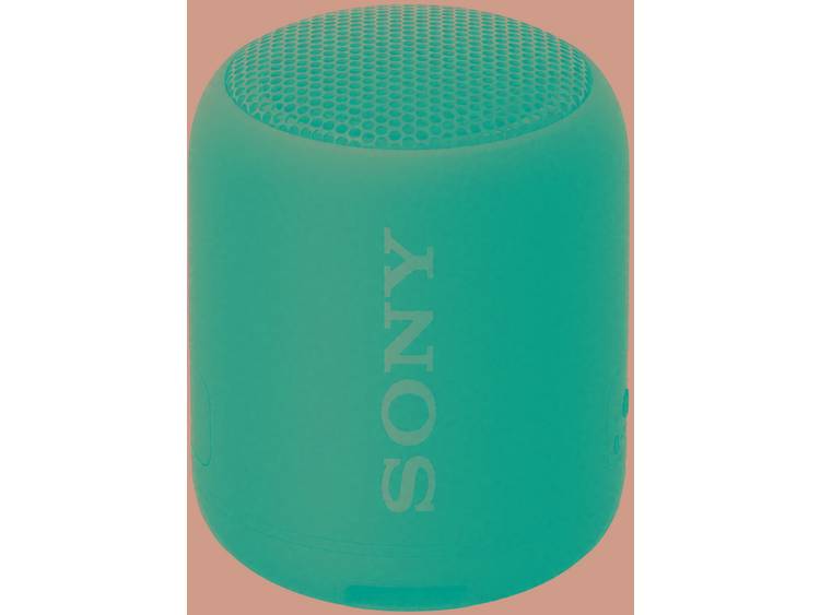 Sony SRS-XB12 Bluetooth luidspreker Outdoor, stofdicht, watervast Zwart