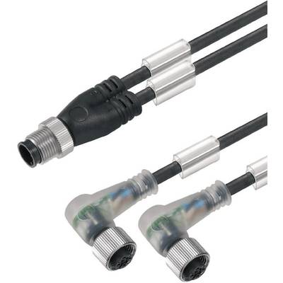 Twee zwarte M12-kabels met metalen schroefverbindingen en rechte en haakse connectoren, verbonden door metalen klemmen.