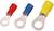 Drie ringvormige kabelschoenen in verschillende maten met gekleurde isolaties: rood, blauw en geel, op een witte achtergrond.