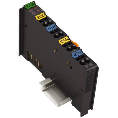 WAGO-klem met meerkleurige aansluitmodules op een DIN-rail, voor elektrische verbinding en integratie van besturing.