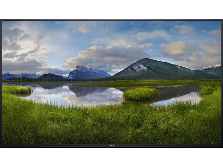 DELL C5519Q beeldkrant 139,7 cm (55 ) LCD 4K Ultra HD Digital signage flat panel Zwart