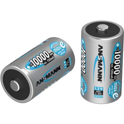 Twee zilveren D-formaat batterijen van het merk Ansmann, elk met een capaciteit van 10.000 mAh. Eén staat rechtop, de andere ligt plat.