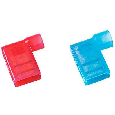 Twee gekleurde stekkers, links rood en rechts blauw, naast elkaar op een witte achtergrond.