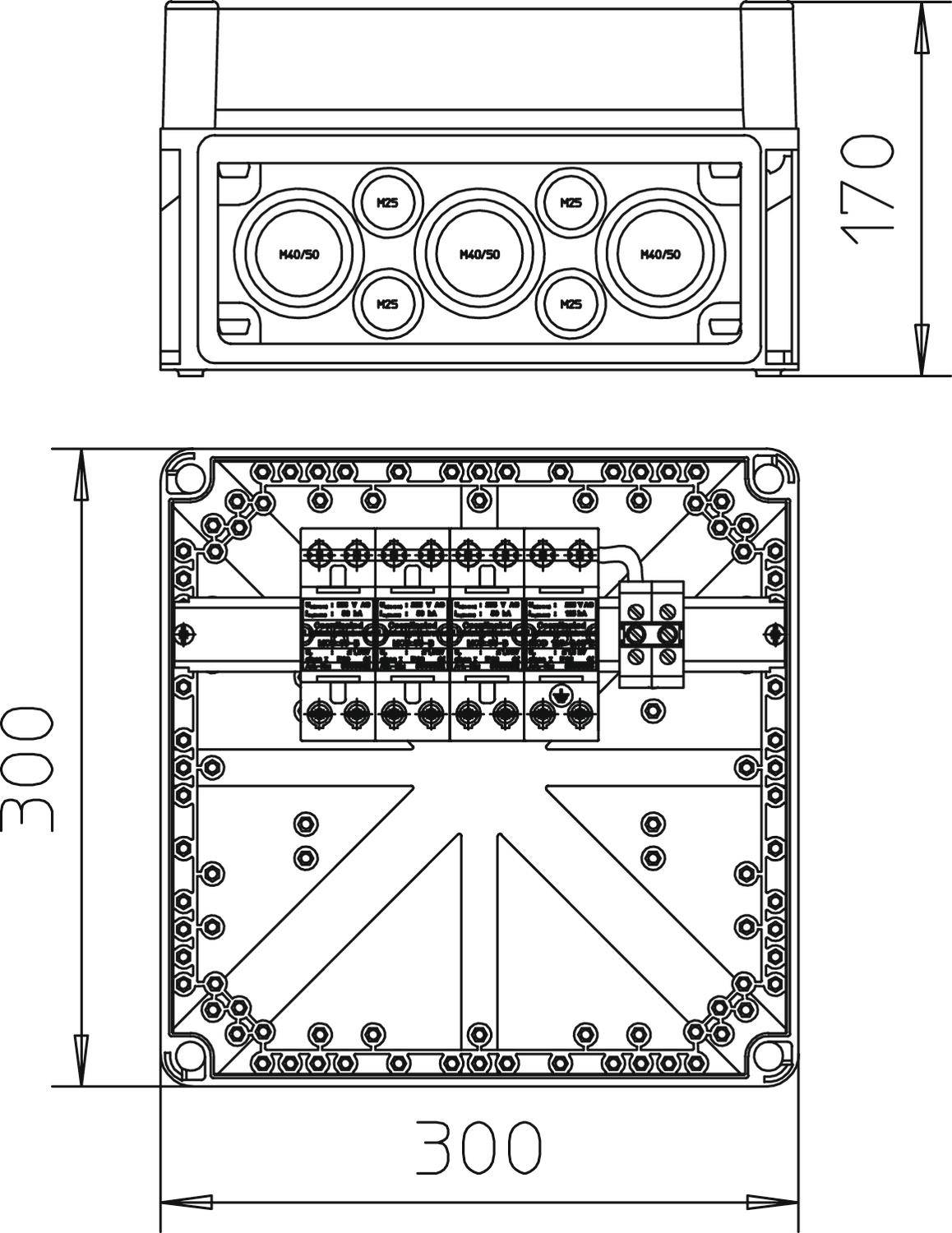 Technische tekening van een elektrische behuizing met afmetingen: 300x300x170 mm. Toont binnenaanzicht met aansluitingen en buitenaanzicht.