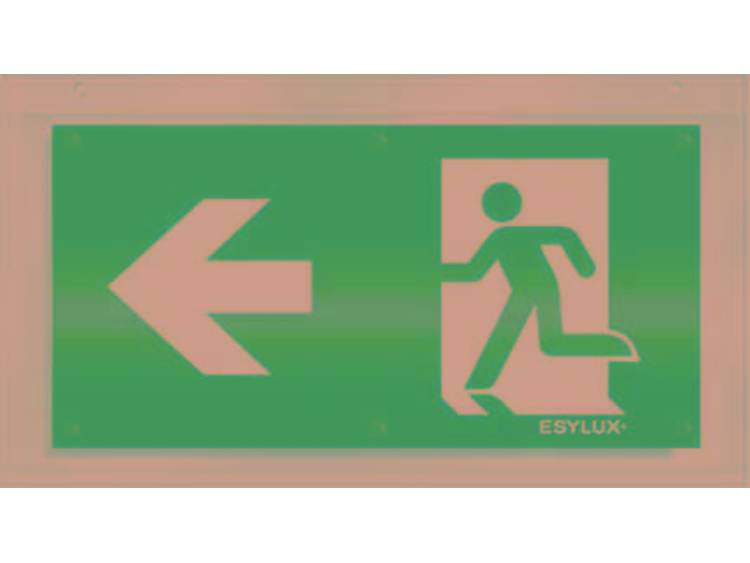 Esylux pictogram uitgang