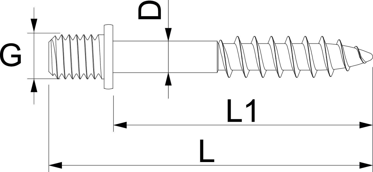 Diagram van een schroef met afmetingen: G voor schroefdraadlengte, D voor diameter, L en L1 voor totale lengte en deelgedeelte.