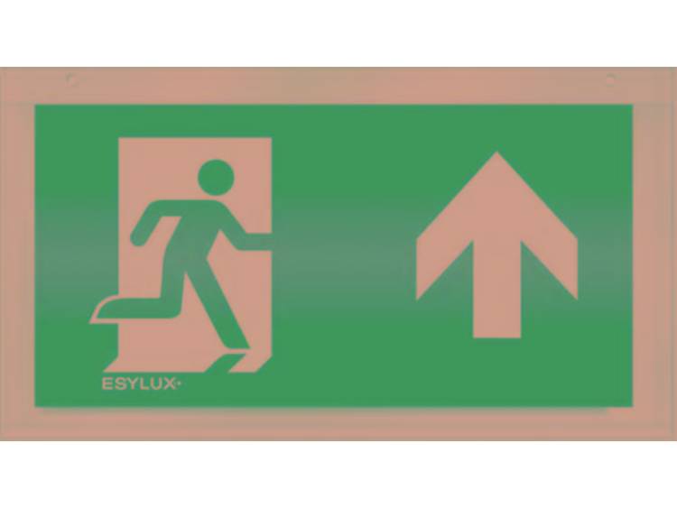 Esylux pictogram vluchtweg