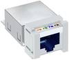 OBO Bettermann ASM-C6 GS RJ45-inbouwmodule CAT 6