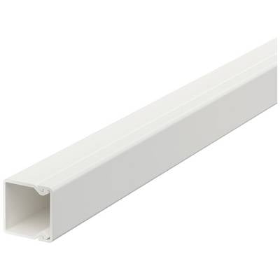 Een witte kabelgoot met een rechthoekig profiel en open uiteinde, geschikt voor de geleiding en bescherming van elektrische kabels.