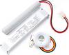 ESYLUX EN10080012 LED-vluchtwegverlichting Energielabel A (A - G) Plafondinbouwmontage