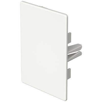 Witte rechthoekige wandcontactdoos afdekking met twee bevestigingsklemmen voor wandmontage.