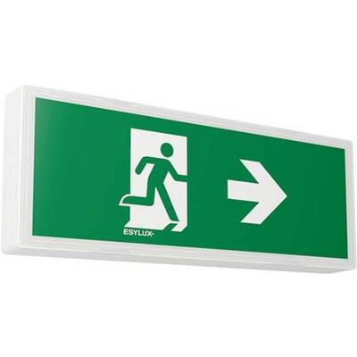 Nooduitgangsbord met wit symbool van een persoon die door een deur rent, met pijl naar rechts op een groene achtergrond.