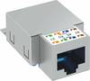 OBO Bettermann ASM-C6 G RJ45-inbouwmodule