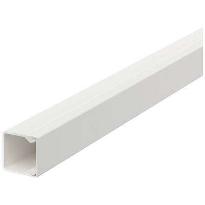 Een witte, rechthoekige kabelgoot voor wandmontage, bedoeld voor een nette geleiding van kabels in woon- of kantoorruimtes.