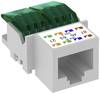 OBO Bettermann ASM-C5 RJ45-inbouwmodule CAT 5e