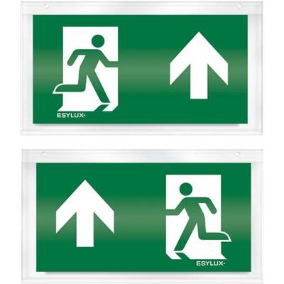 ESYLUX EN10032622 Pictogram