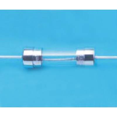 Belfuse 5ETP 1.6-R Buiszekering 1.6 A 250 V 1 stuk(s) Bulk