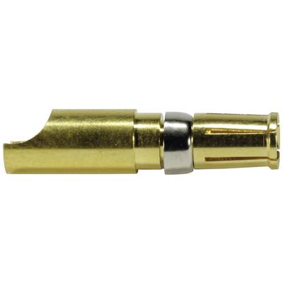 Een vergulde BNC-connector, gezien vanaf de zijkant. Hij bestaat uit verschillende onderdelen, inclusief een zilveren ring in het midden.