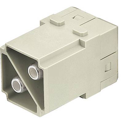 Een rechthoekige, beige plastic stekker met twee ronde, zilveren aansluitingen aan de voorkant.