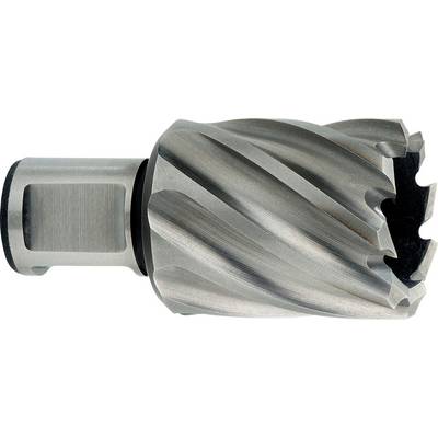 Metalen snijgereedschap met cilindrische schacht en geflutet, gatboorend hoofd weergegeven op een witte achtergrond